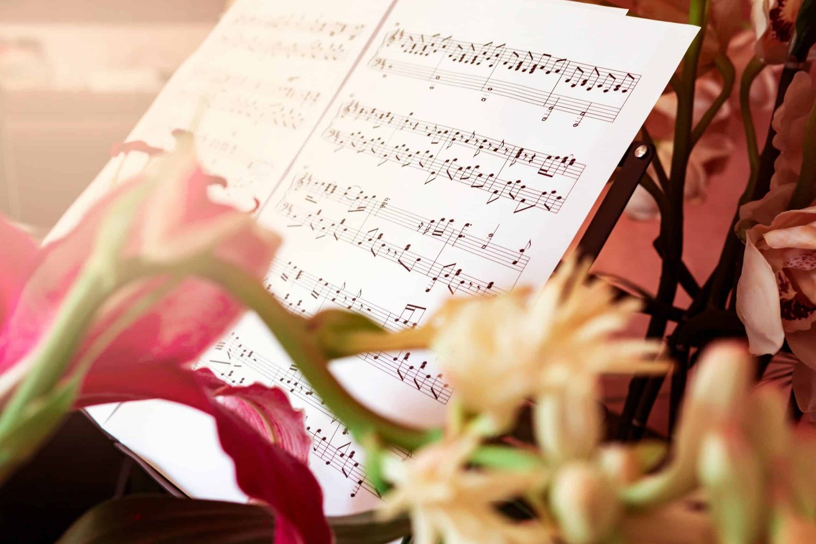 Do You Want to Learn Guitar? Explore How JustinGuitar Is Your Best Learning Platform