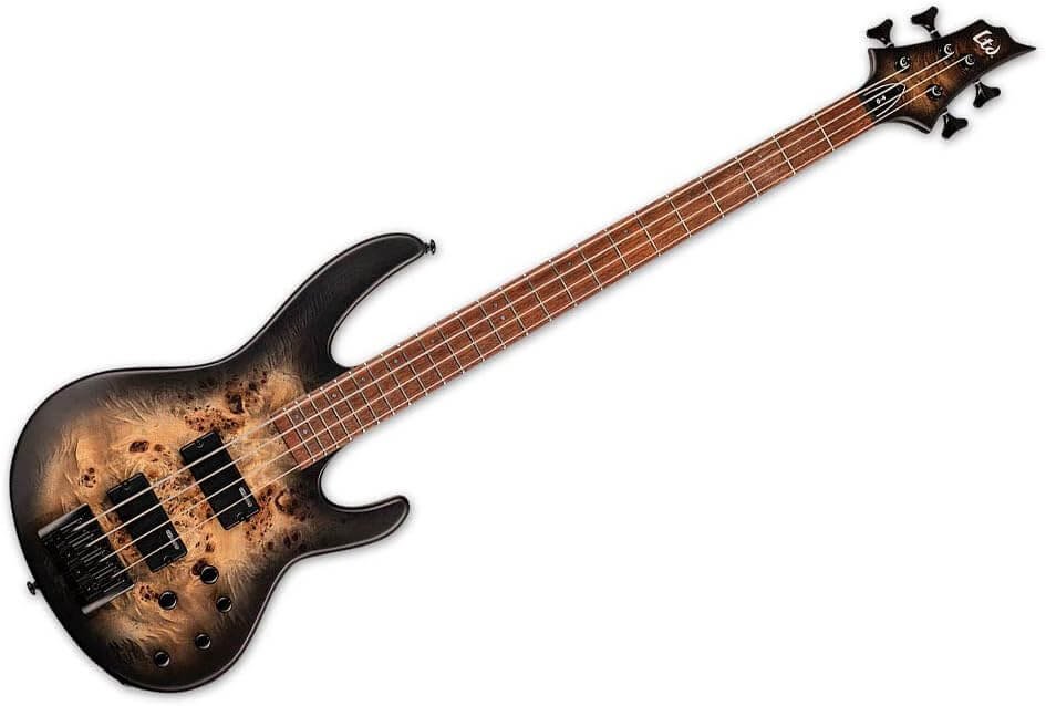 Exploring the ESP LTD D-4 Bass Guitar: Unleash Your Inner Musician